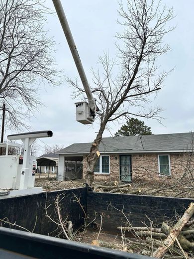 A bucket truck is cutting a tree in front of a house.