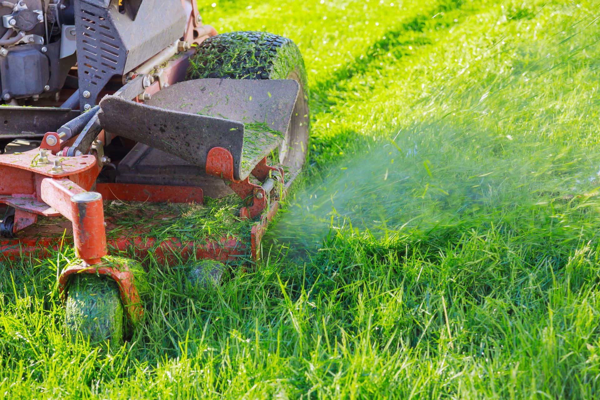 Lawn mower cutting green grass; grass blades fly in the air.