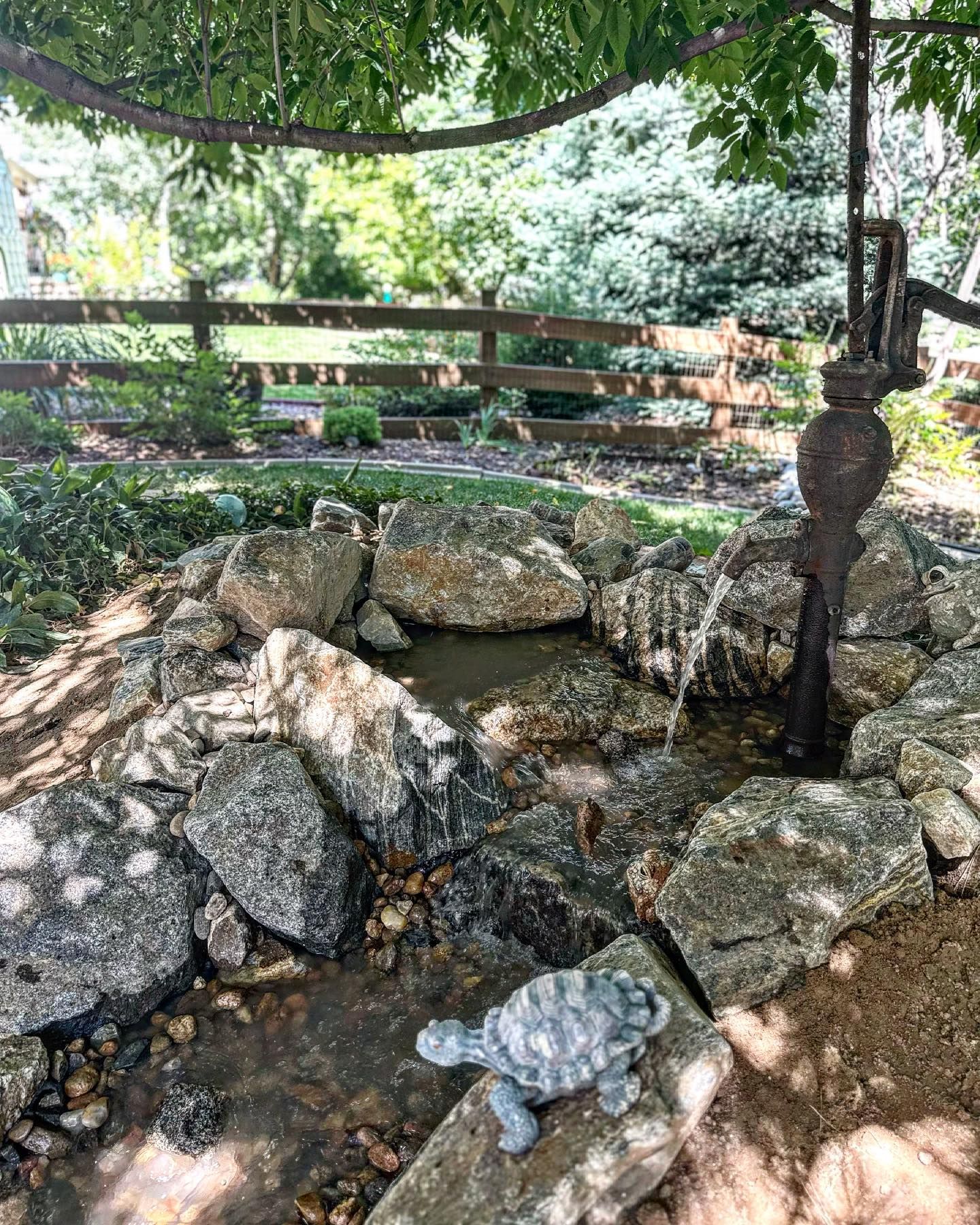 A stone-lined water feature with an old pump and a turtle statue, under leafy green cover.