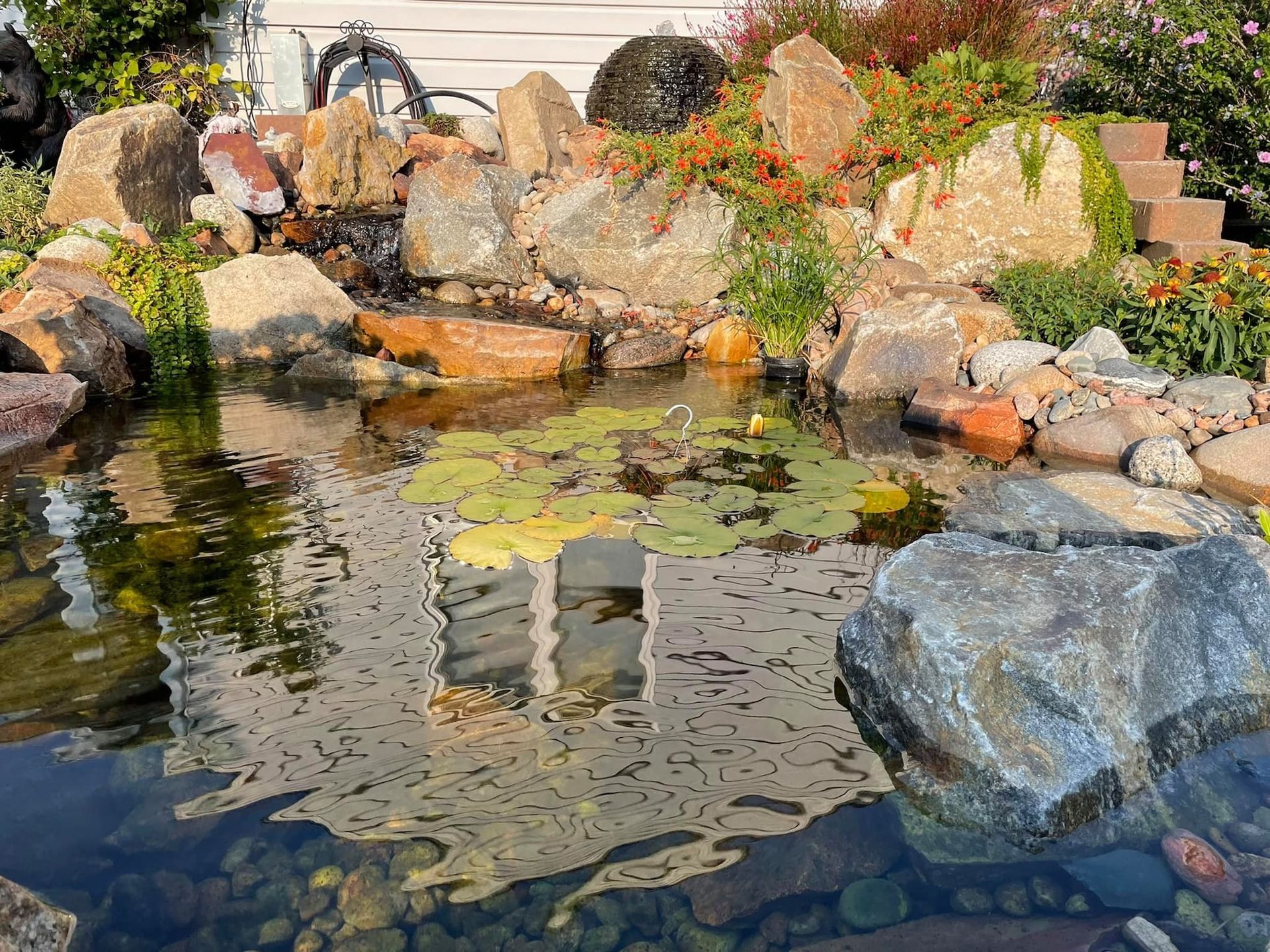 A backyard pond with rocky edges and clear water in front of a gray house.