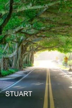 Denise Mendocha realtor and real estate sales in Stuart Florida