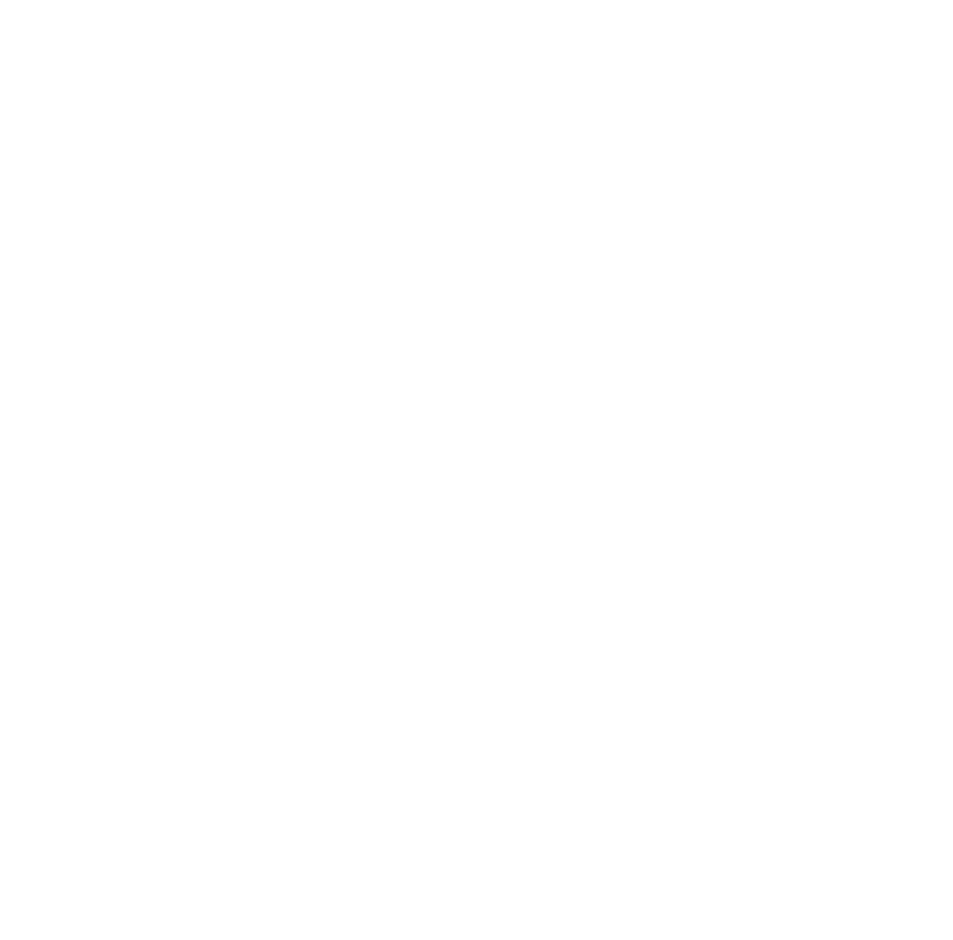 Minimum absorption car wash washmaterial brush icon