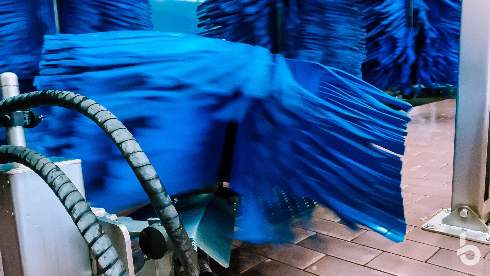 Holz Car wash brushes