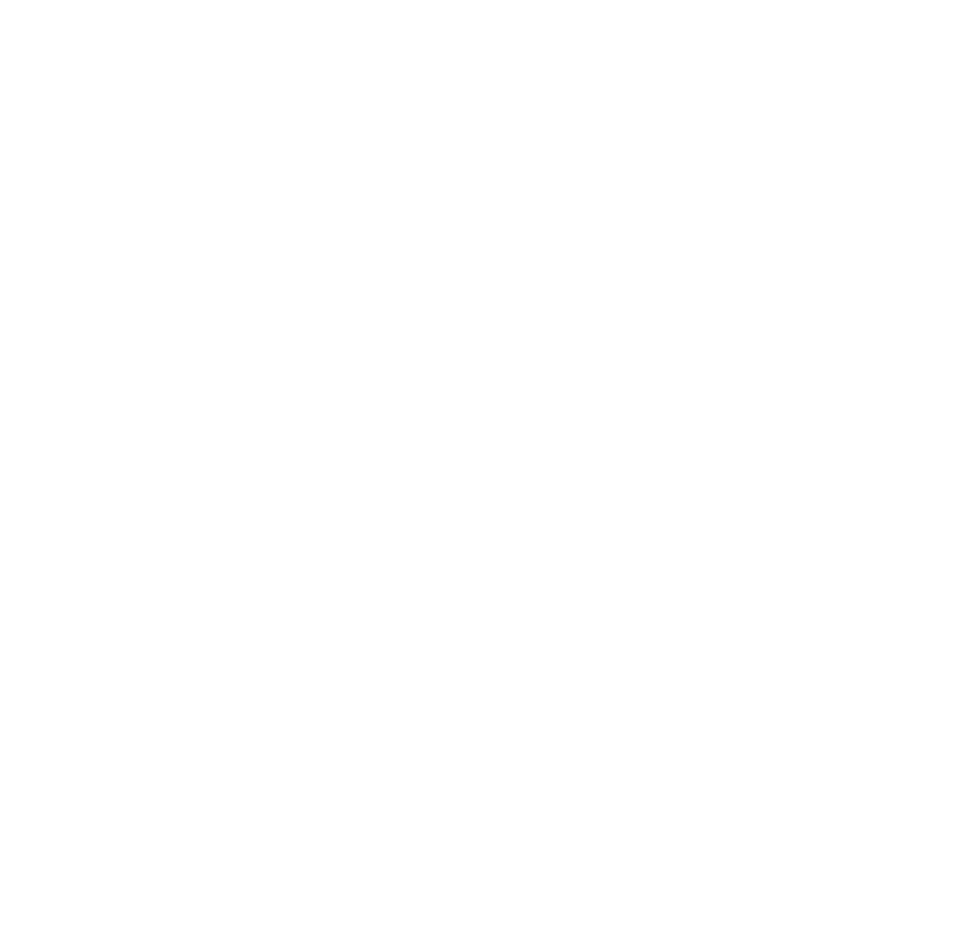 Non-woven car wash washmaterial brush icon