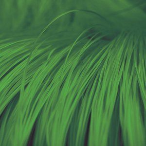 car wash brush material  polyethylene