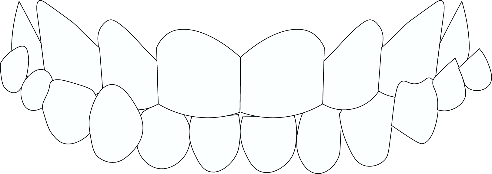A black and white drawing of a set of teeth on a white background.
