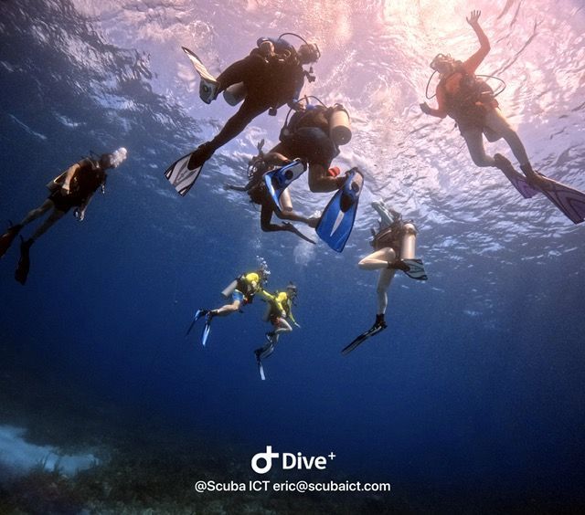 A scuba diver is swimming in the water near a large rock