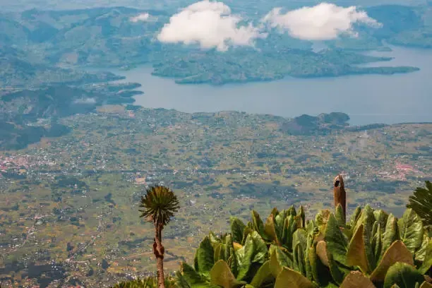 View of Kisoro District from Mount Sabyinyo