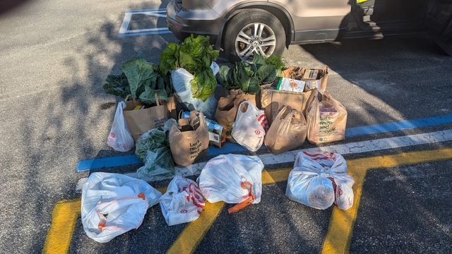 A bunch of bags of groceries are sitting in a parking lot next to a car.