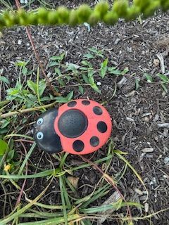 A red and black ladybug rock is laying on the ground.