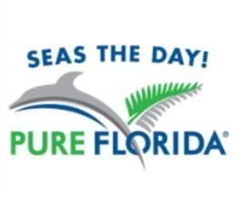 A pure florida logo with a dolphin and palm leaf