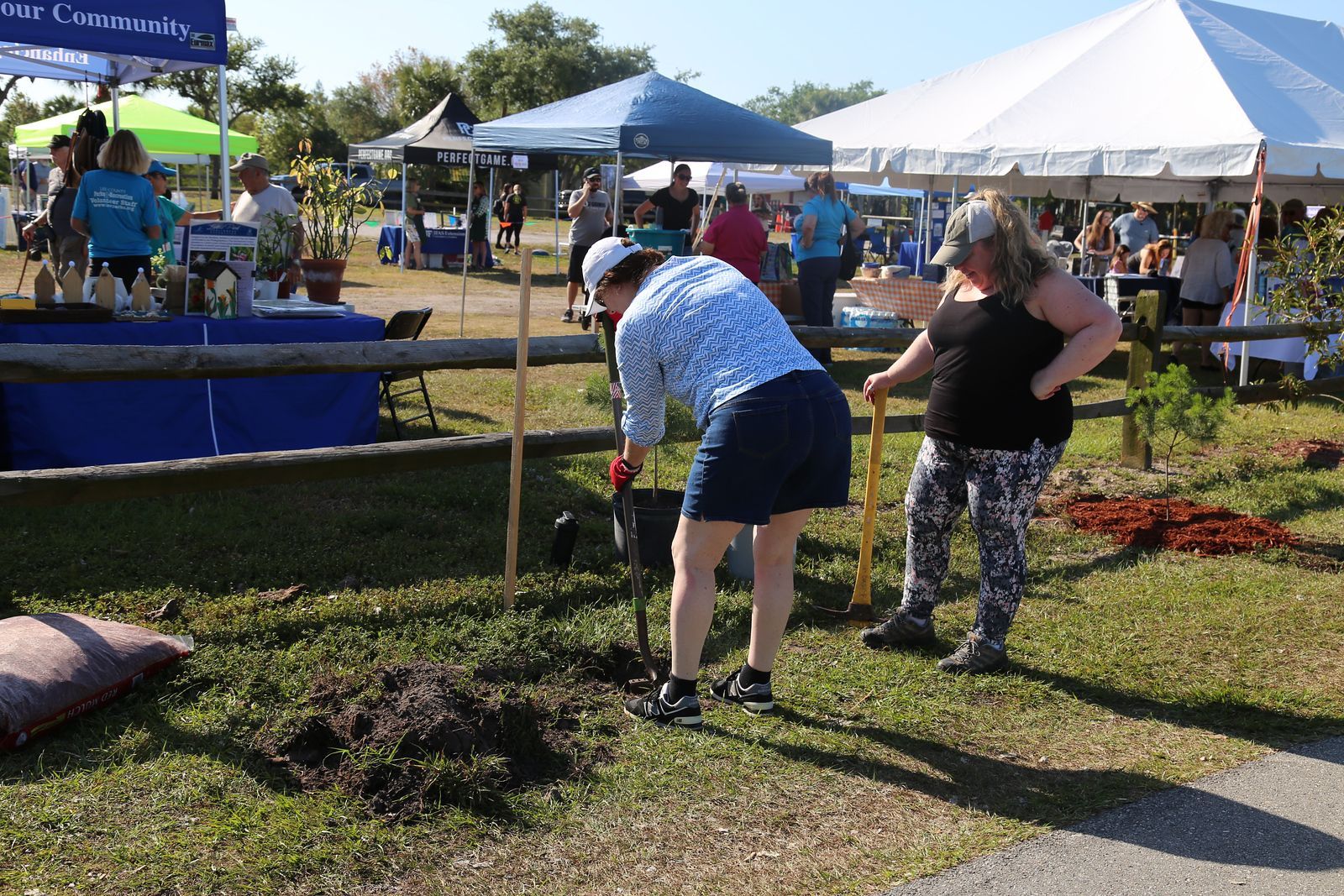 A woman is digging a hole in the grass with a shovel.