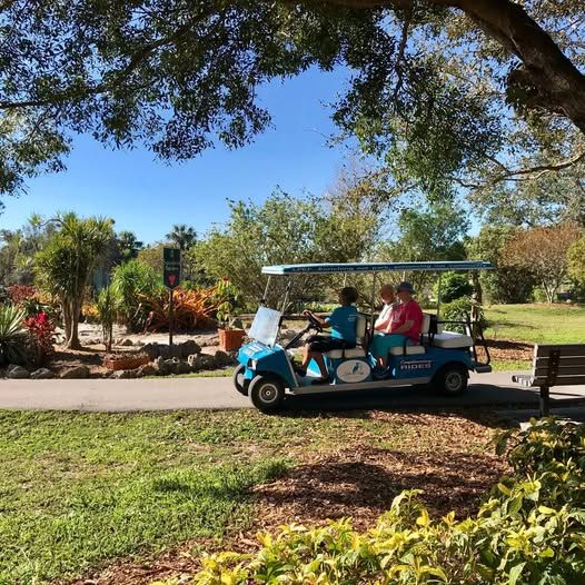 A blue golf cart is driving down a path in a park.