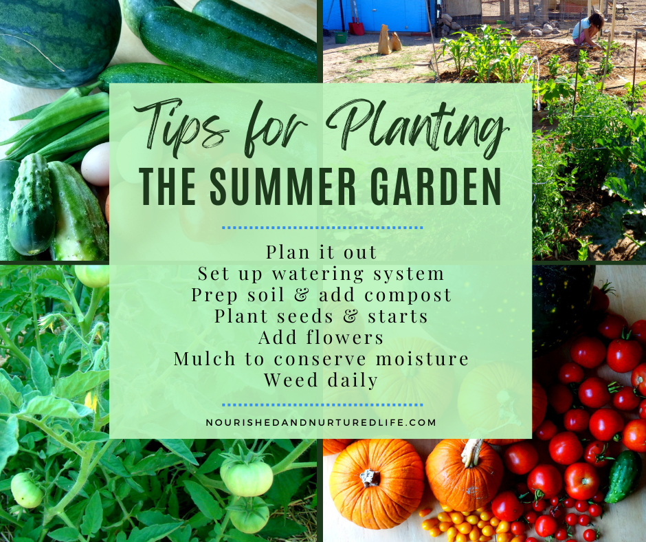 A poster for tips for planting the summer garden