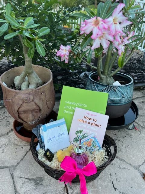 A gift basket with a book titled how to make a plant