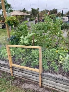 There is a wooden frame in the middle of a garden.