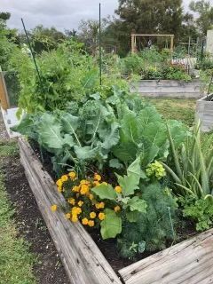 A garden filled with lots of vegetables and flowers.