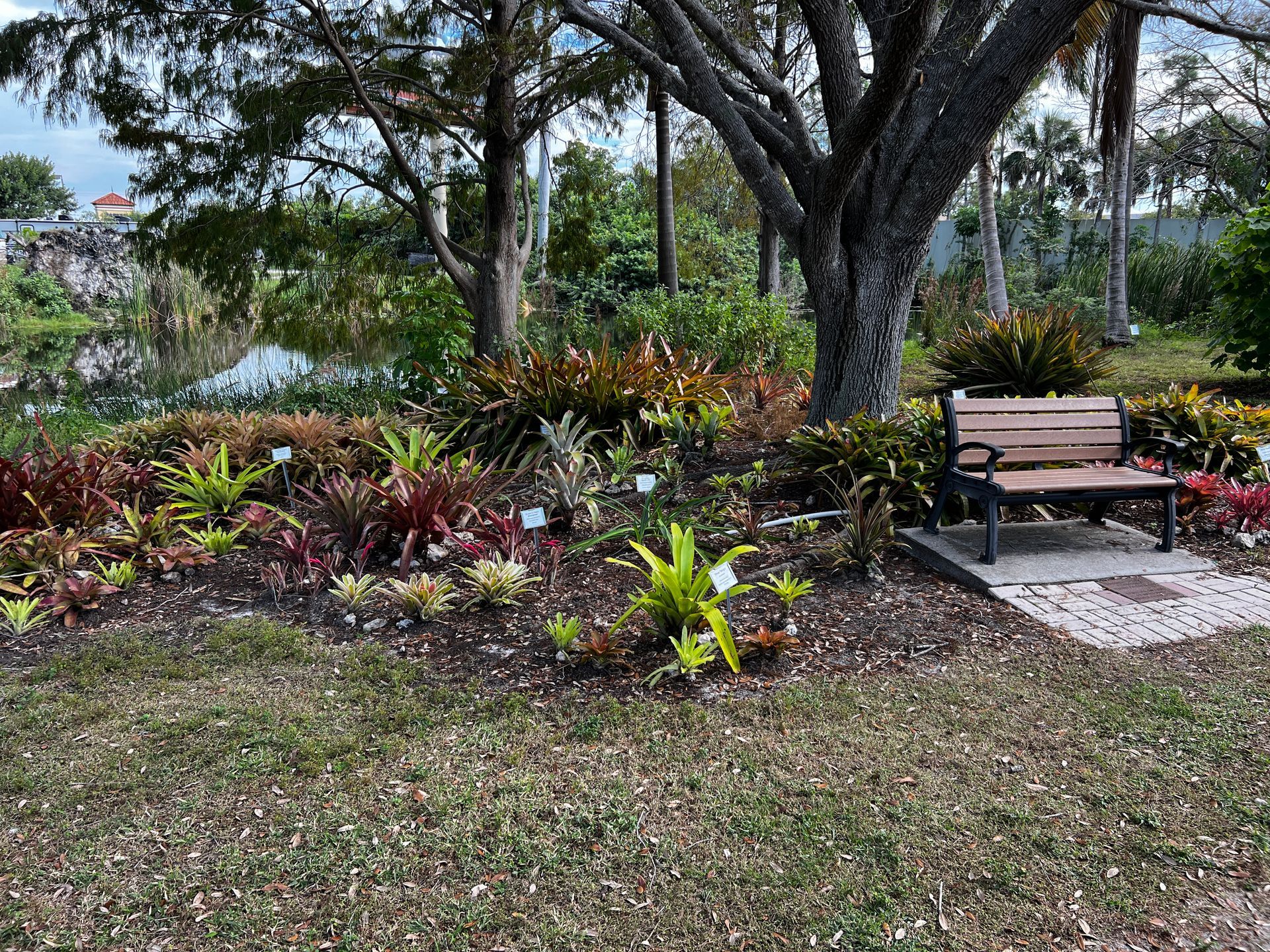 A wooden bench is sitting under a tree in a park.