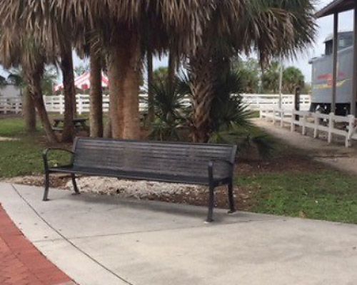 A park bench is sitting under a palm tree