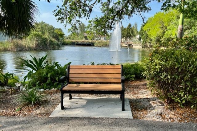 A wooden bench is sitting in front of a lake with a fountain in the background.