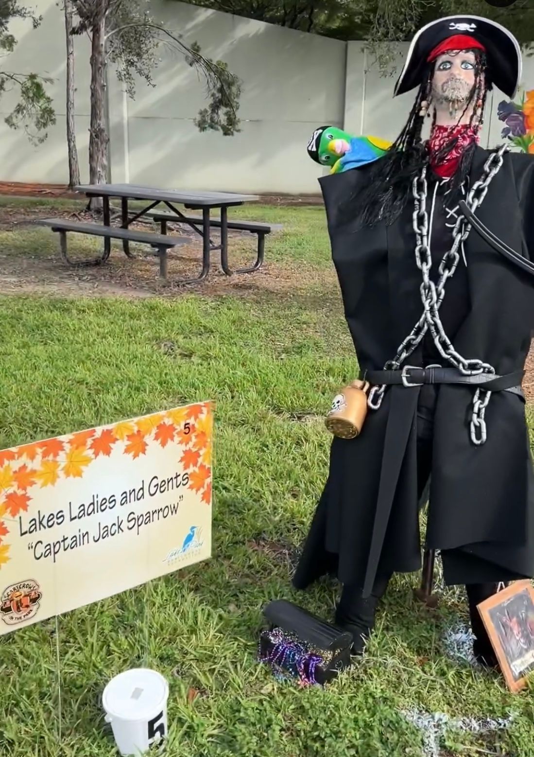 A scarecrow dressed as a pirate is standing in the grass next to a picnic table.