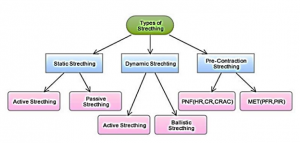 Diagram of stretching types: Static, Dynamic, and Pre-Contraction. Each has sub-categories, labeled.