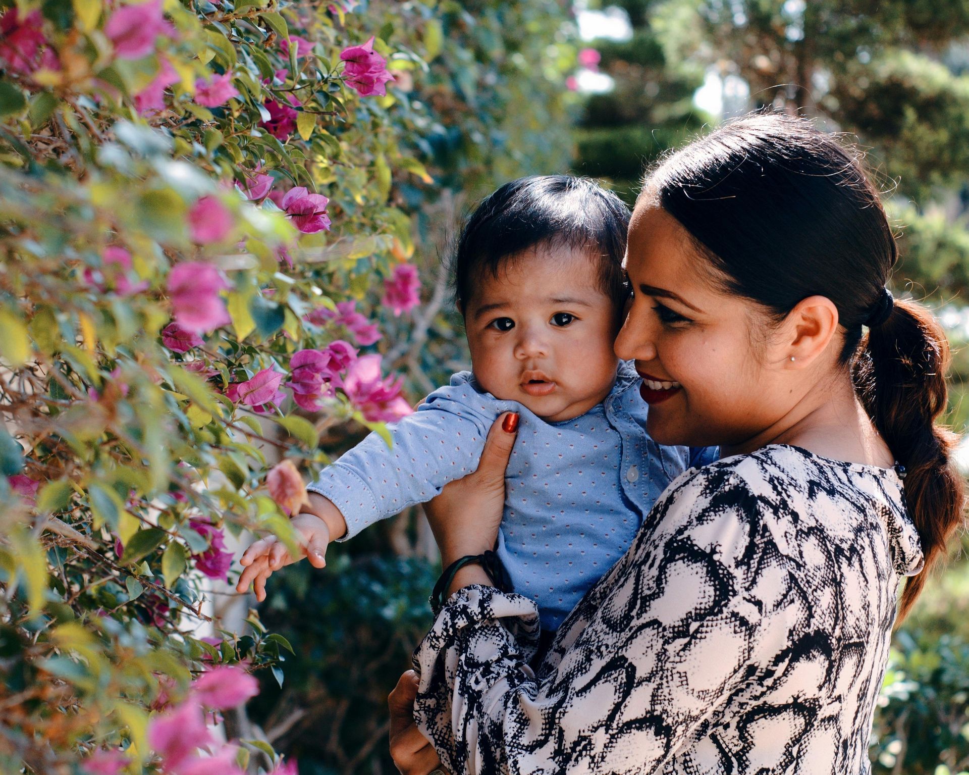 A person holding a baby near a flowering bougainvillea bush, both looking toward the pink blossoms.