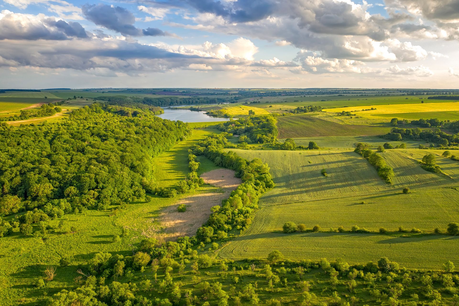 An aerial view of a lush green field with trees and a river.