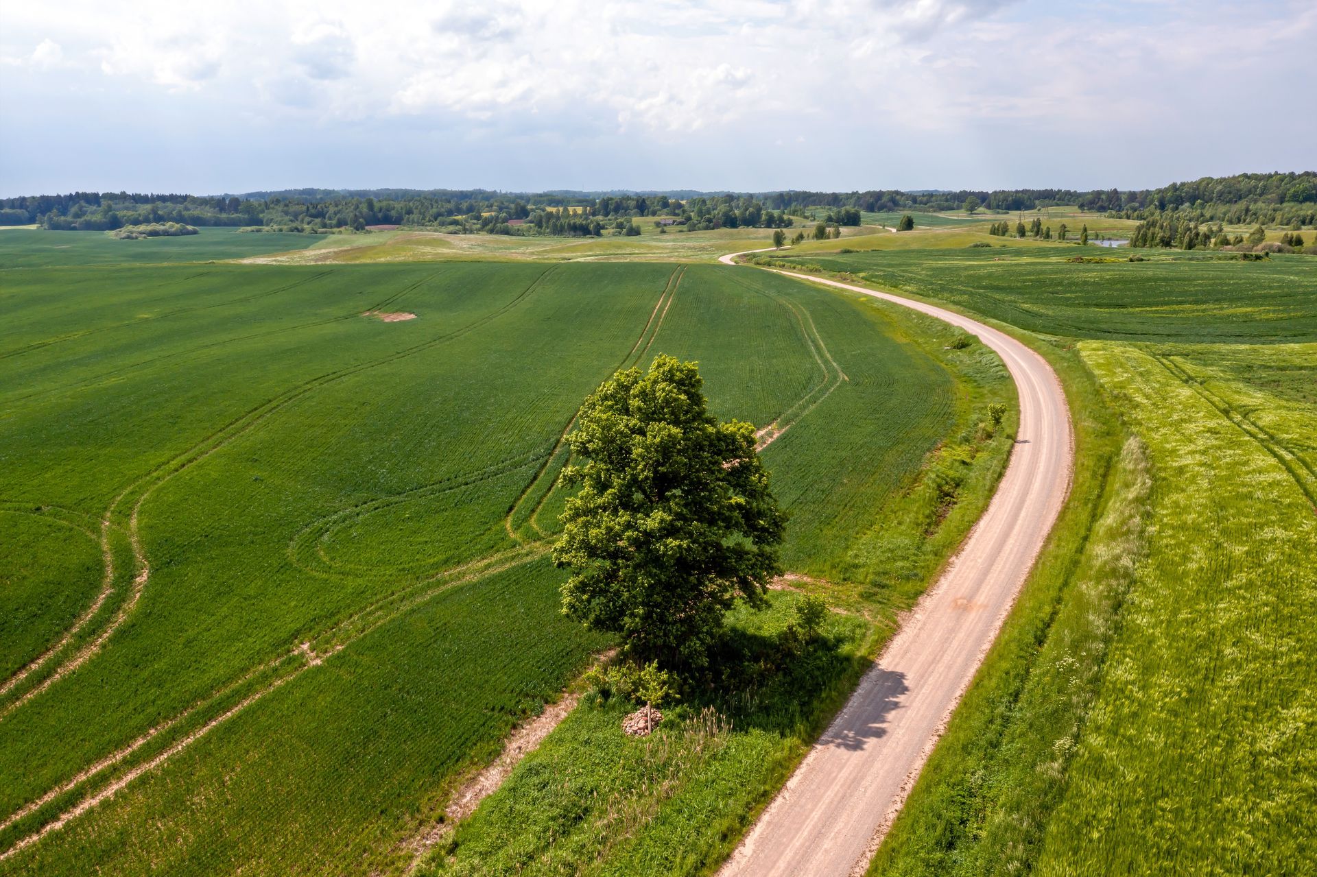 An aerial view of a dirt road going through a green field.