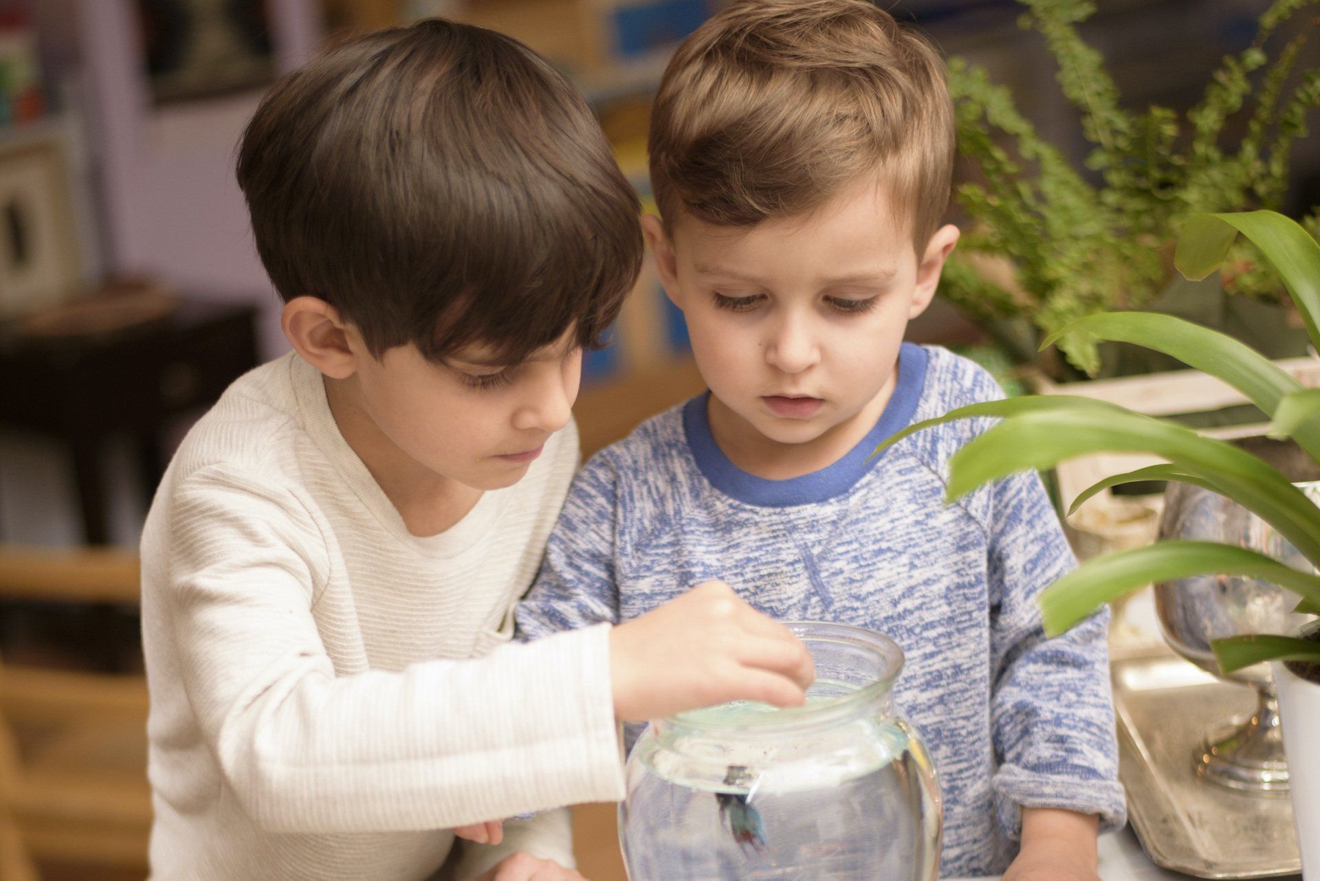 Two young boys are looking at a fish in a jar.