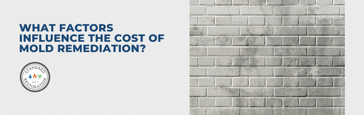 What Factors Influence The Cost of Mold Remediation?