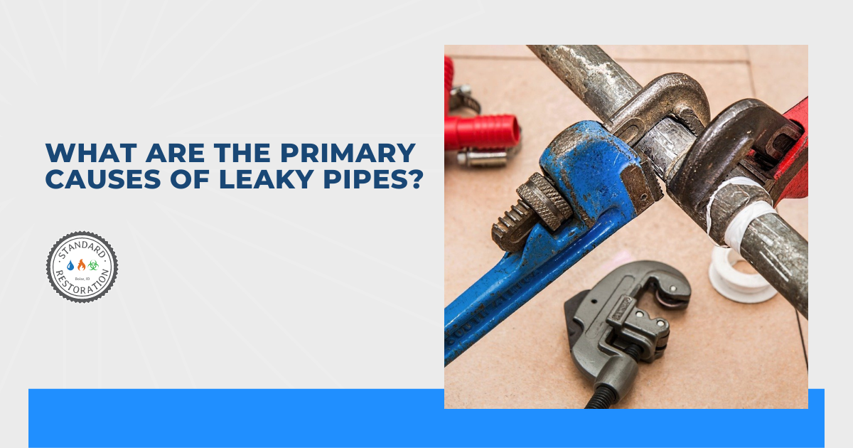 What Are The Primary Causes of Leaky Pipes?