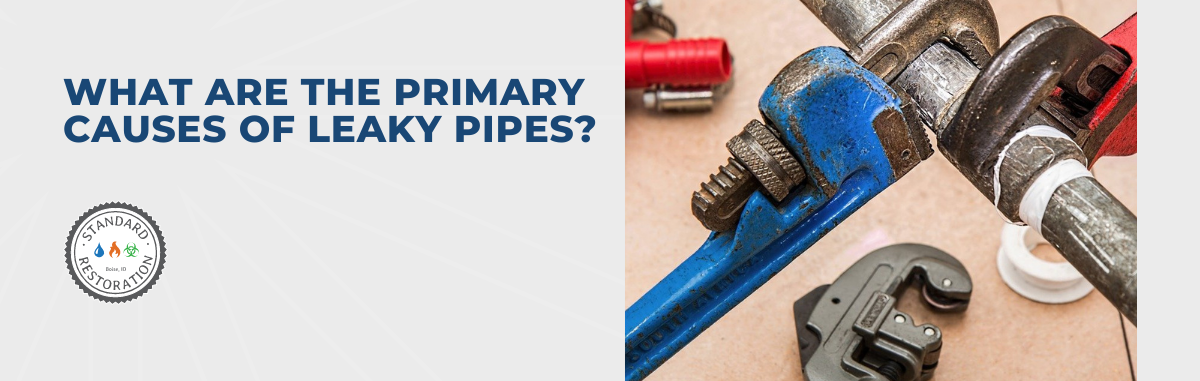 What Are The Primary Causes of Leaky Pipes?
