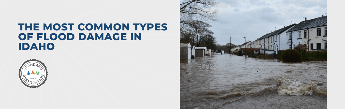 The Most Common Types of Flood Damage in Idaho