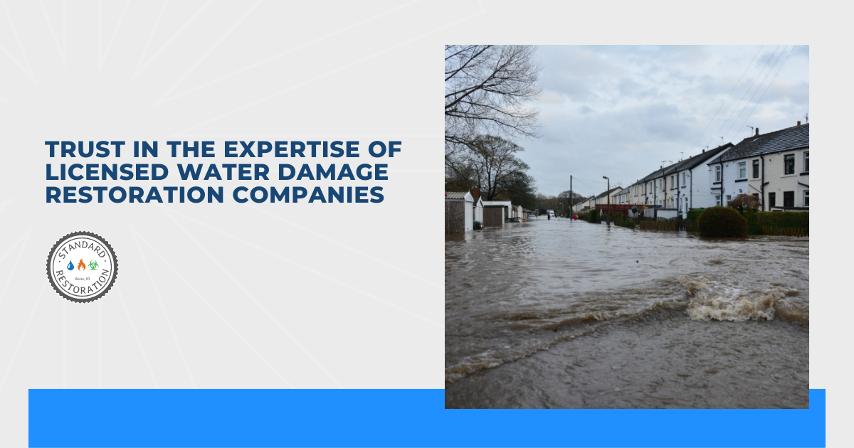 Trust in The Expertise of Licensed Water Damage Restoration Companies