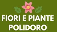 Fiori e piante articoli da regalo Polidoro