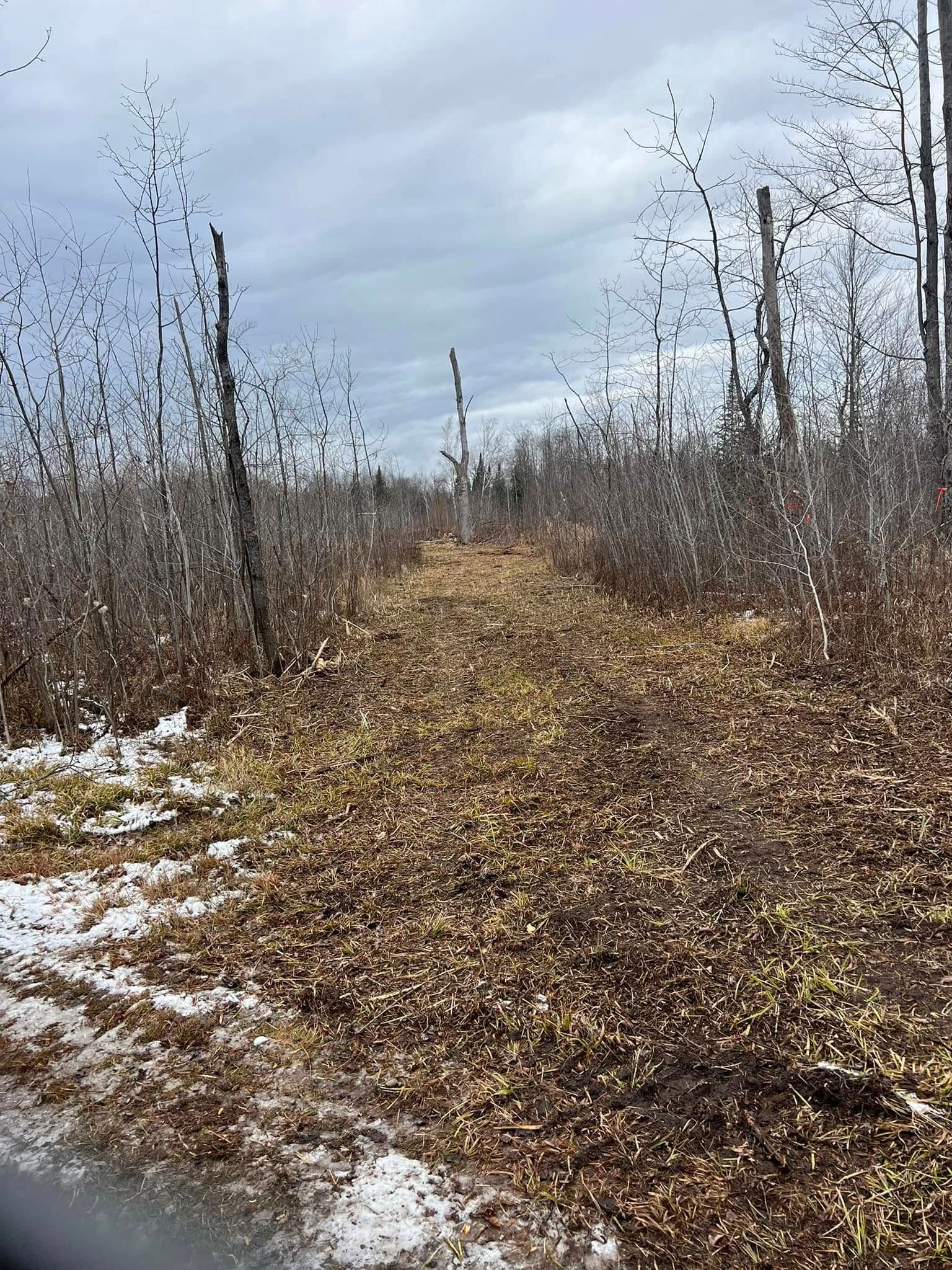 A path through a forest, covered in fallen brown leaves and patches of snow, under a cloudy sky.