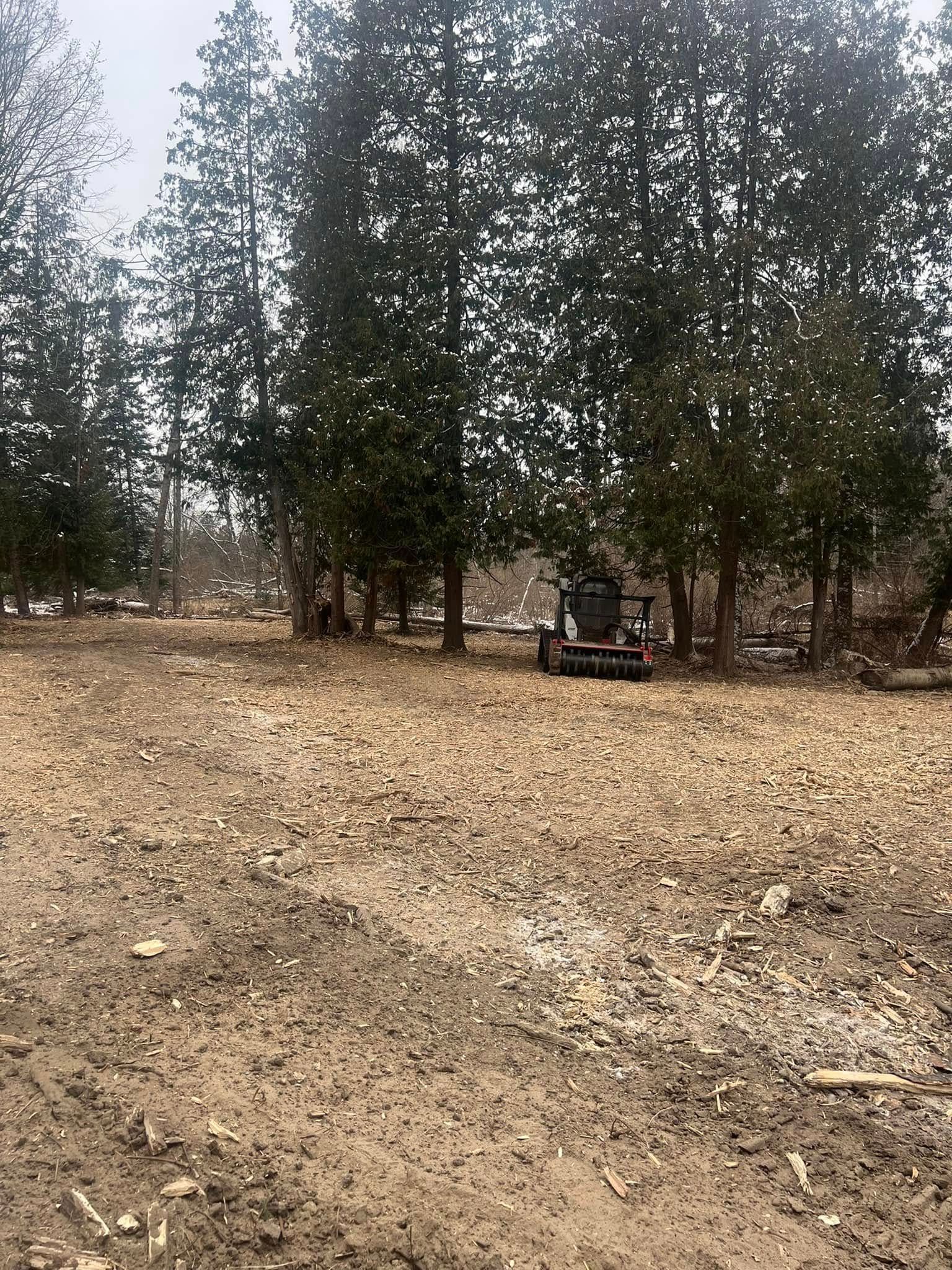 A small tractor parked among trees in a muddy, cleared field.