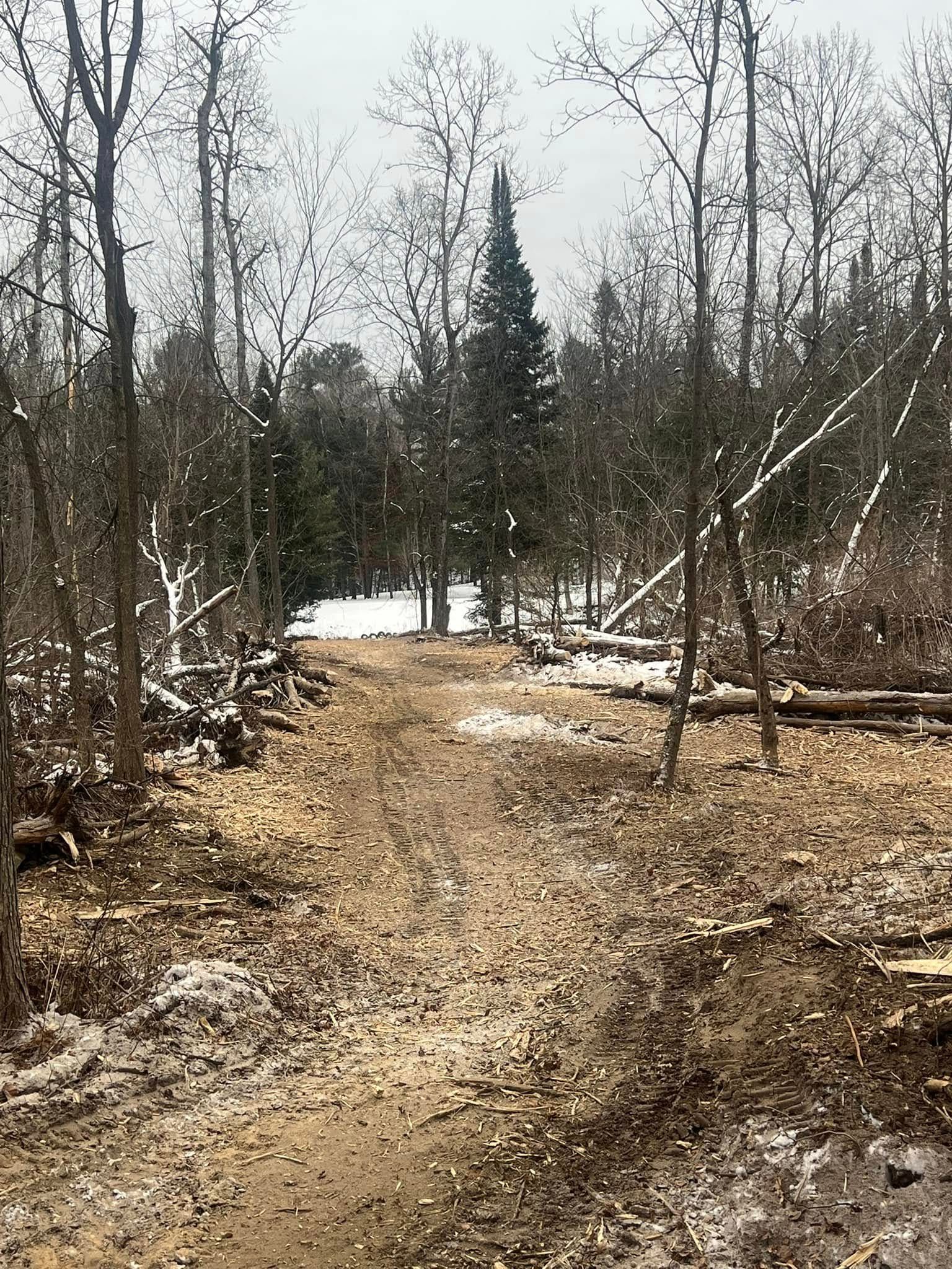 Dirt path through a snowy forest with bare trees and evergreens. Overcast sky.