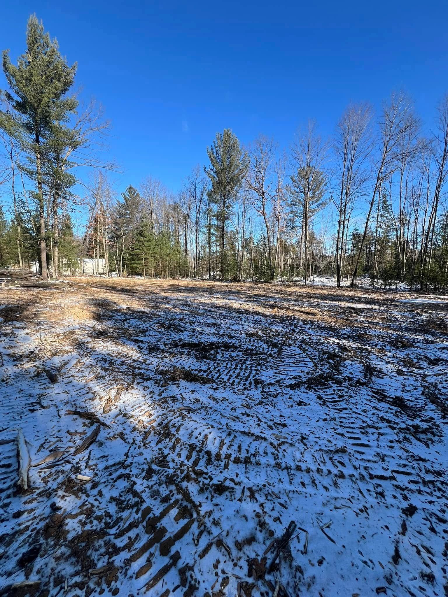 Snowy field with trees under a bright blue sky.
