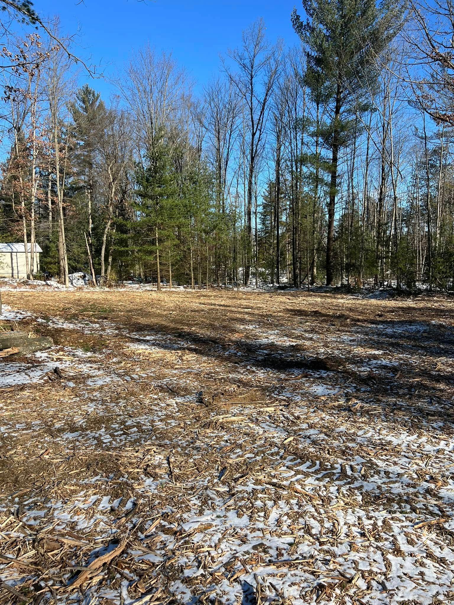 Snowy field with fallen leaves and trees in the background under a blue sky.