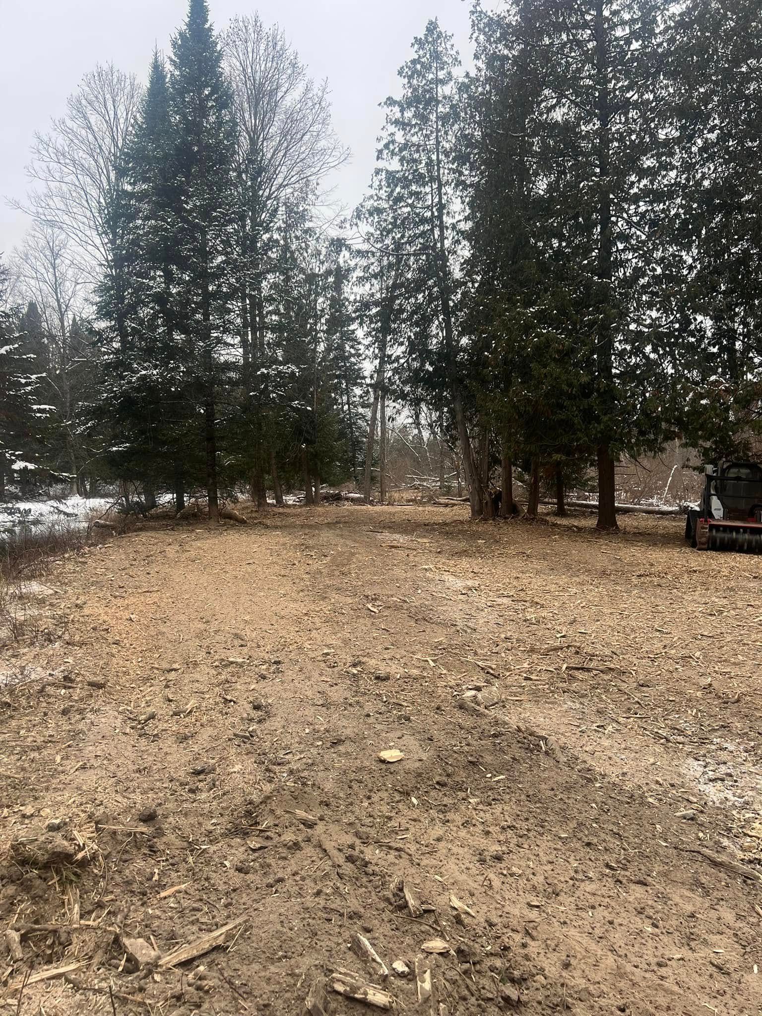 Dirt path through a forested area, trees on either side. Overcast day.