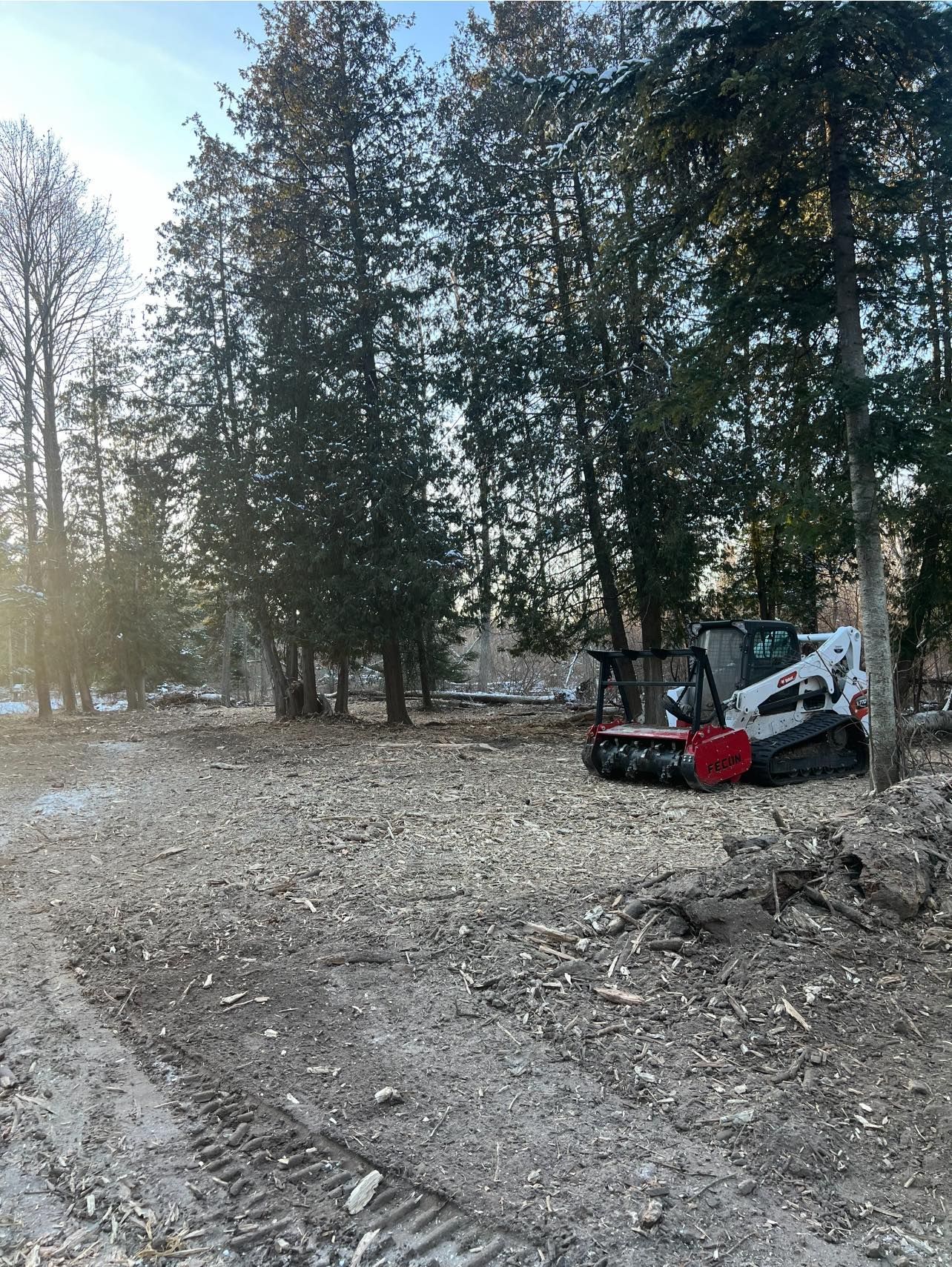 Bobcat clearing land with trees in the background. Construction site with dirt and tire tracks, sunlight.