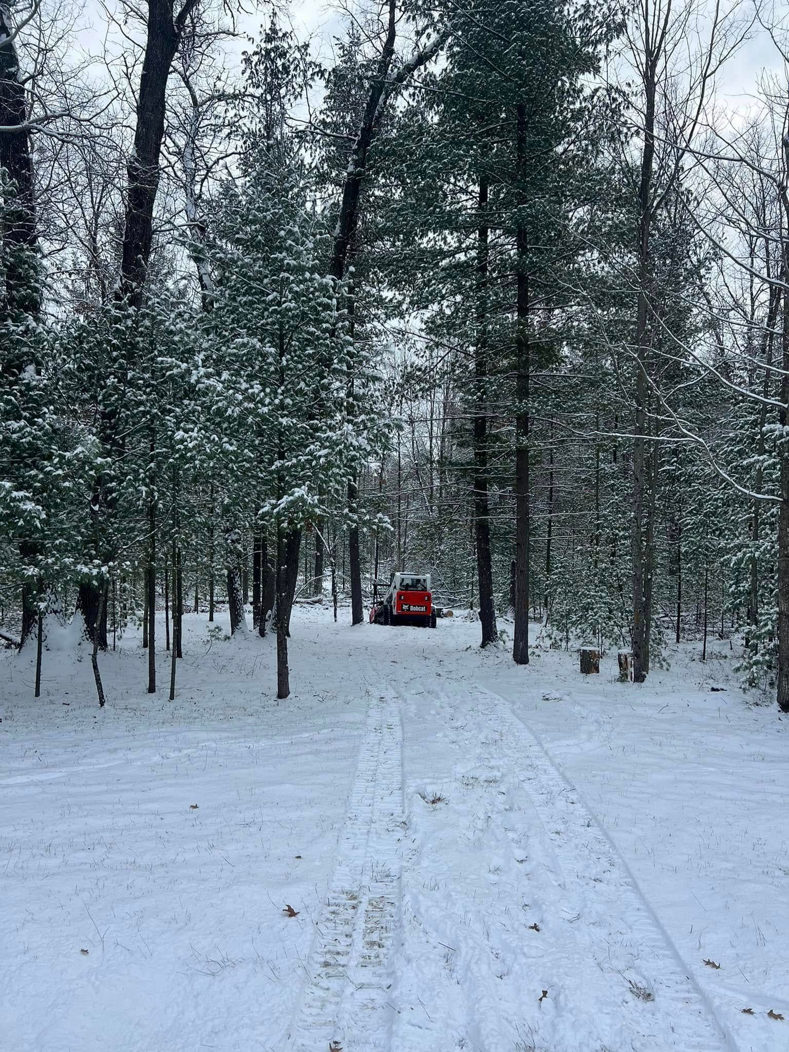 Snowy forest path with tire tracks leading to an orange vehicle. Tall trees surround the path.