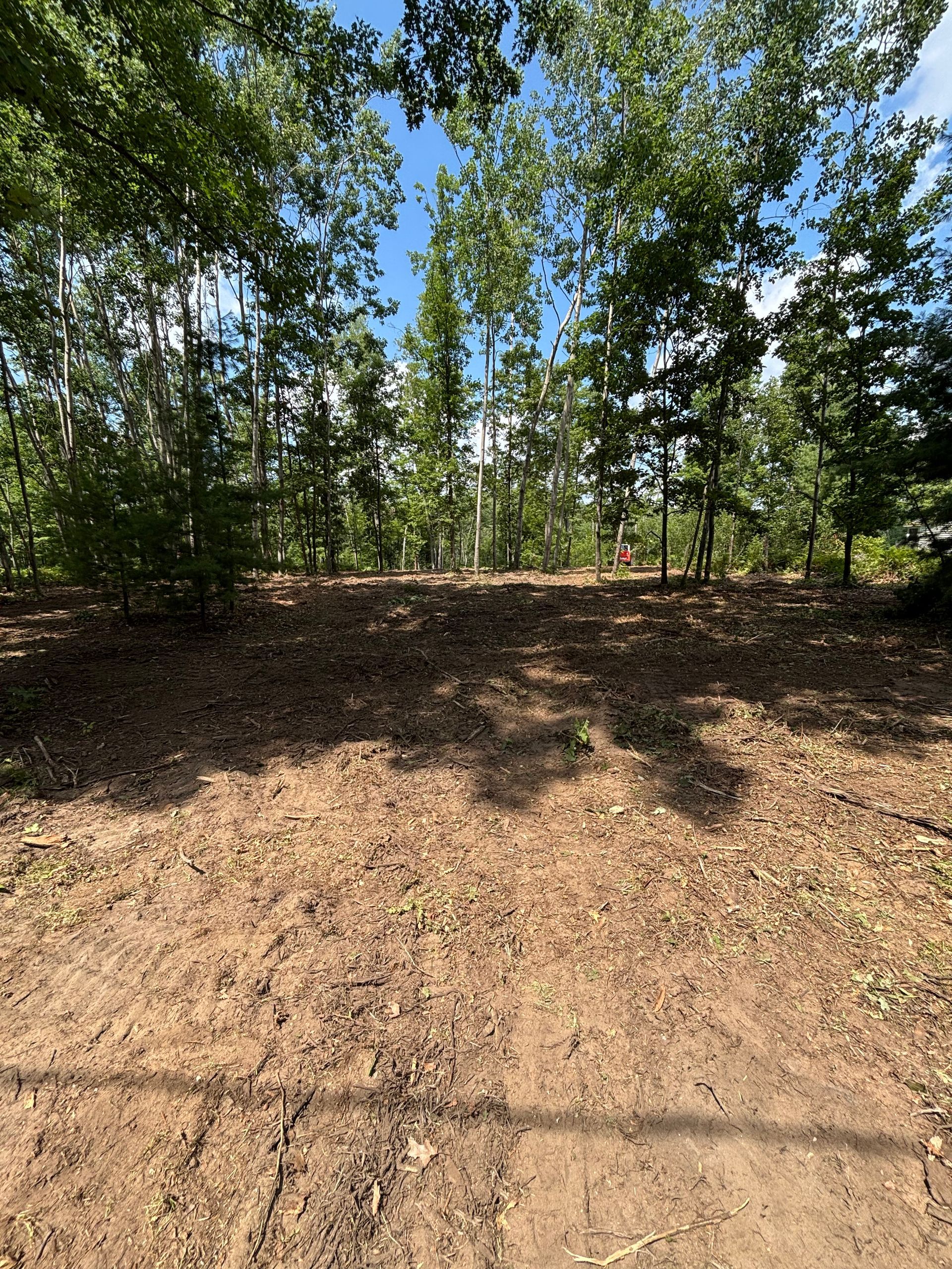 Cleared dirt area with a backdrop of trees under a bright blue sky.