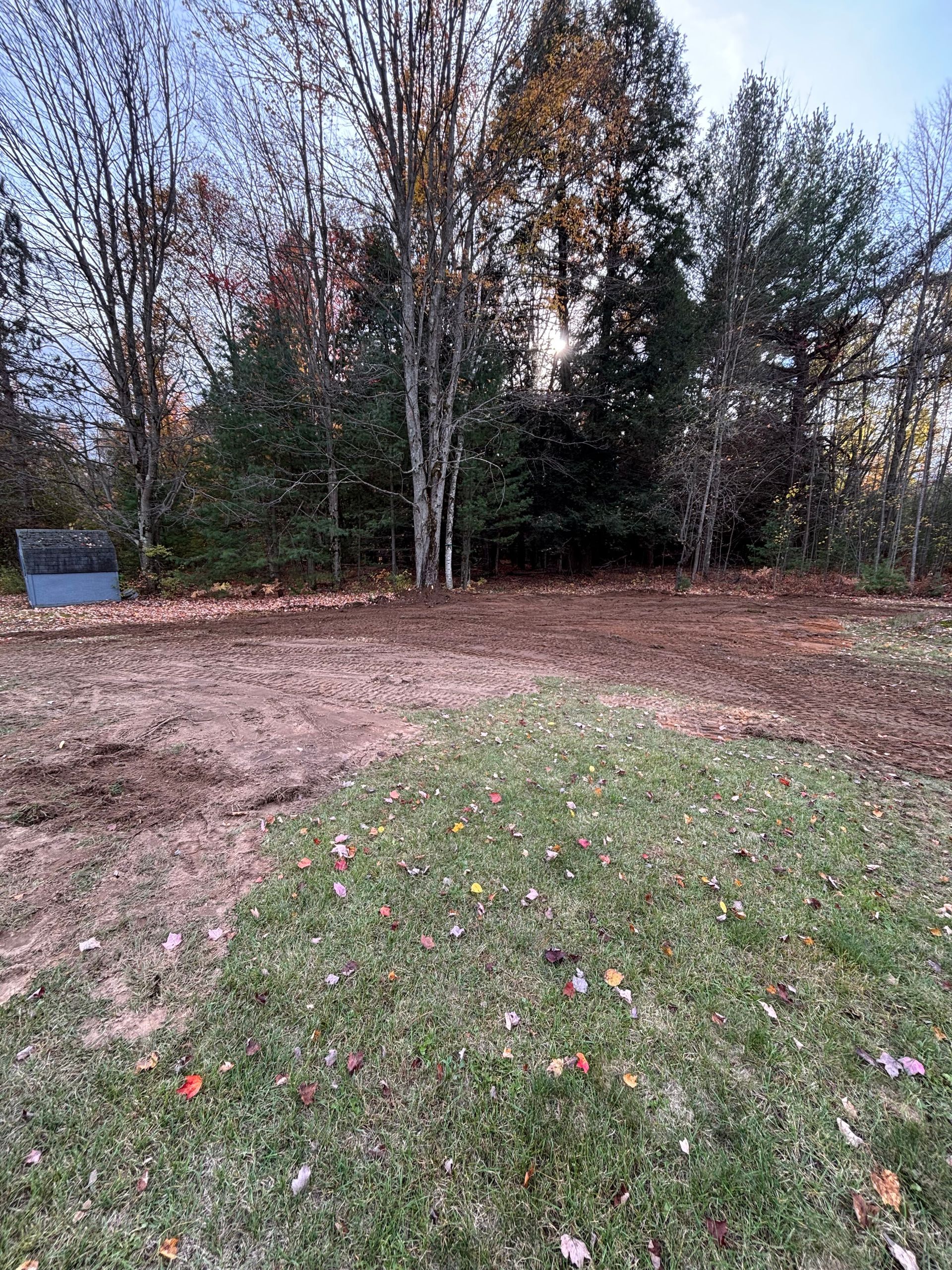 A cleared area of dirt and grass, trees in the background, a blue object on the left, overcast sky.