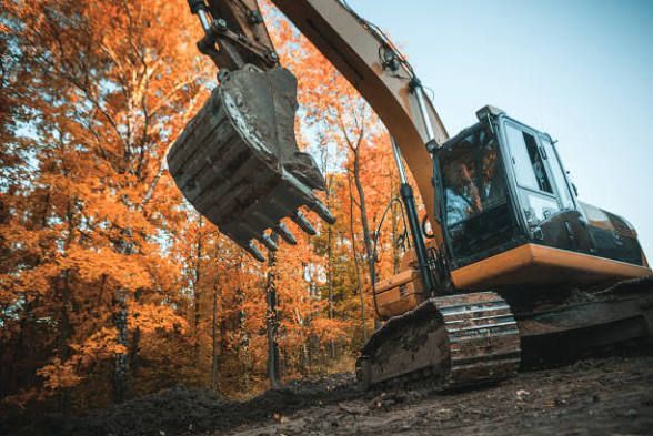 Yellow excavator with raised bucket in front of orange trees and a blue sky.