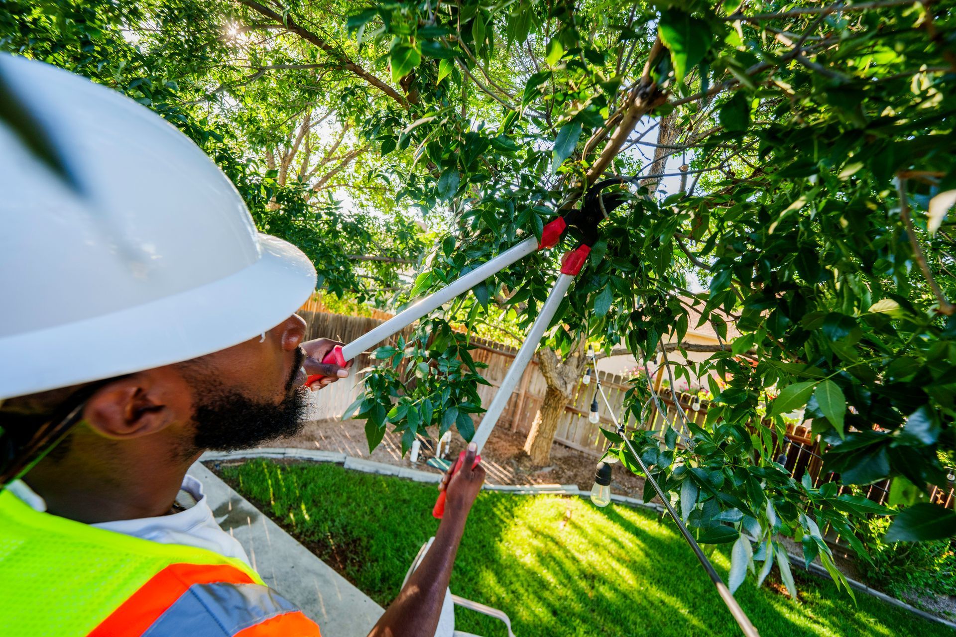 A man wearing a hardhat and safety gear trims a tree in a backyard. A man wearing a hardhat and safety gear trims a tree in a backyard.