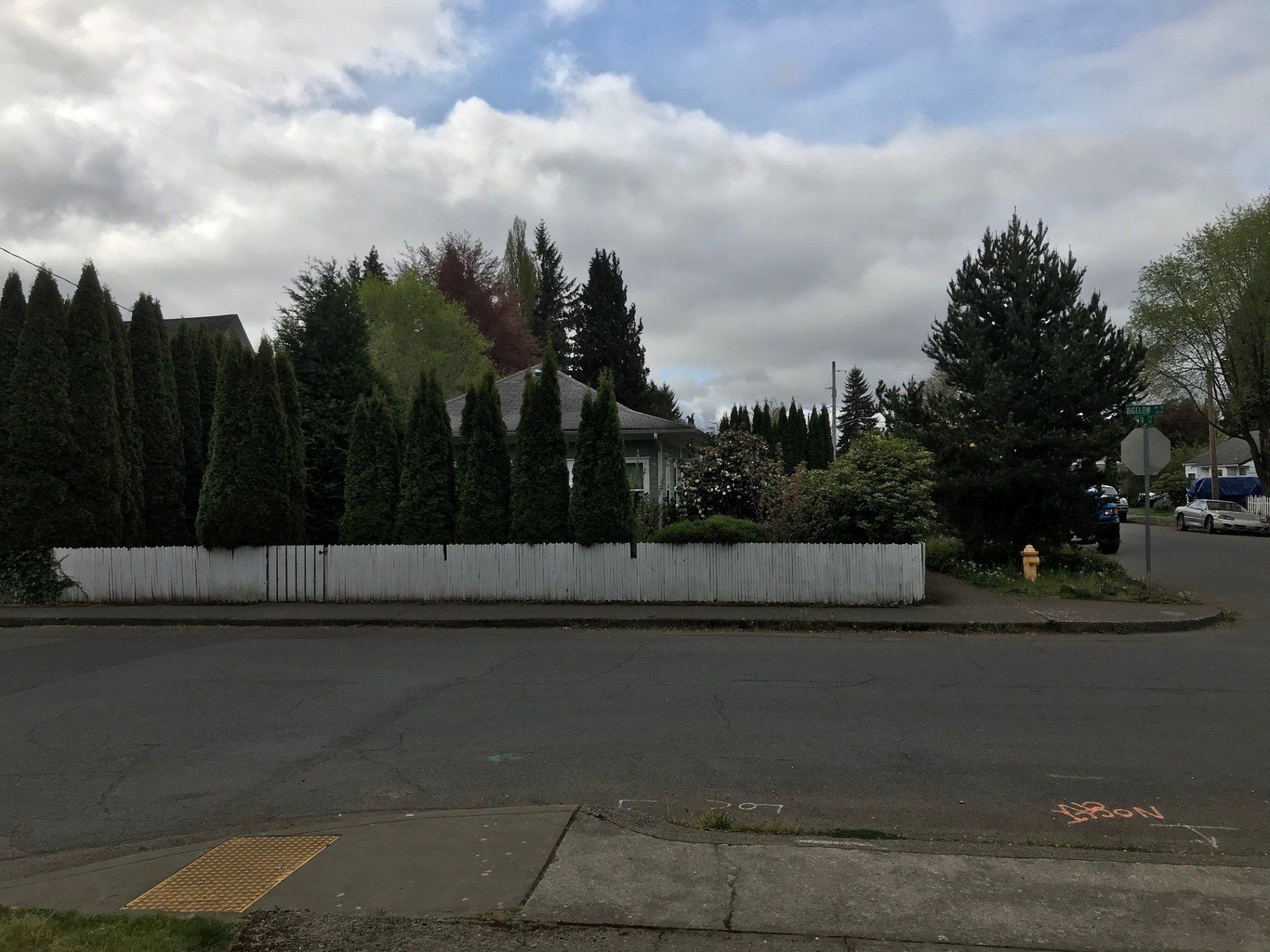 Overgrown Property Before — Olympia, WA — Double D Tree Service LLC