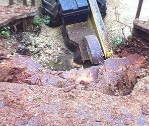 A property receiving stump grinding services in Tumwater, WA